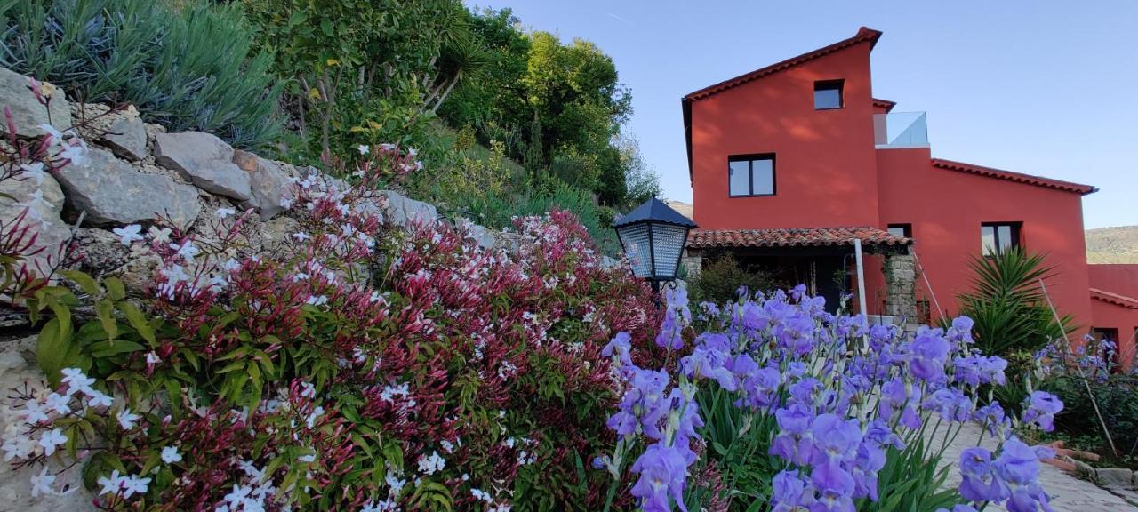 Mas Des Buscades Bed & Breakfast Cabris Exterior foto