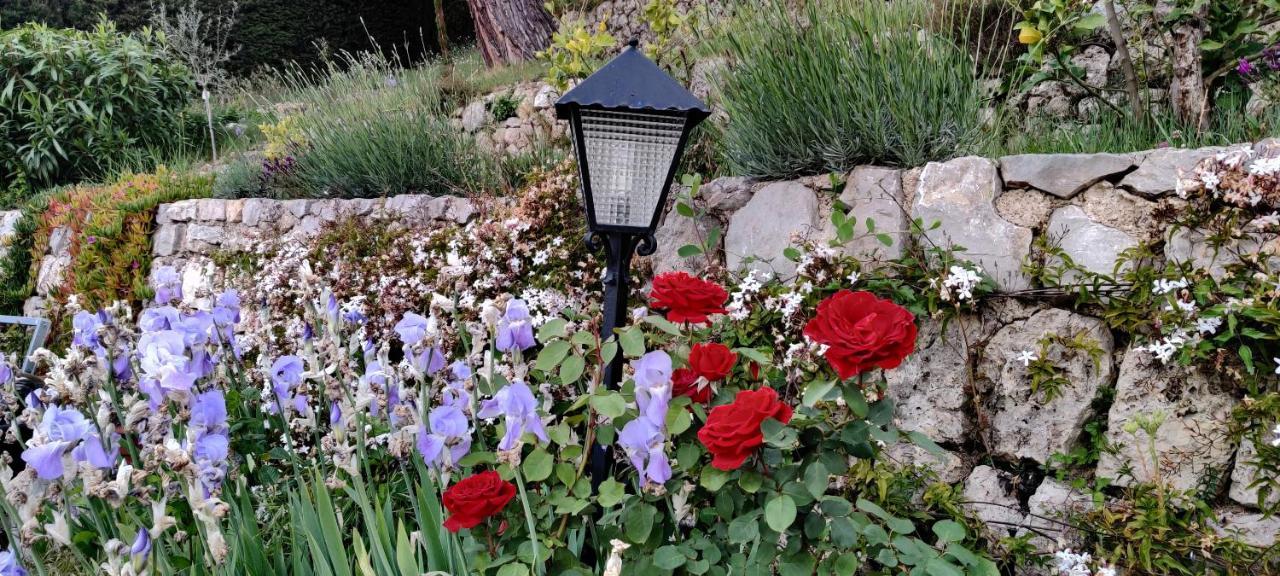 Mas Des Buscades Bed & Breakfast Cabris Exterior foto